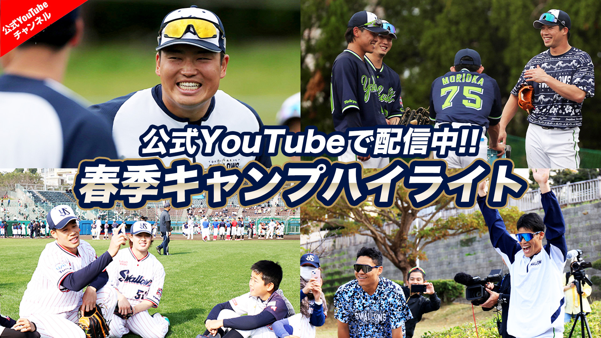 東京ヤクルトスワローズ公式サイト Tokyo Yakult Swallows