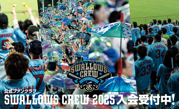 2025 swallows CREW 入会受付中！